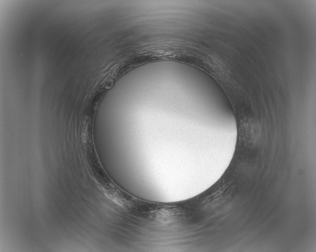 X0000061100412200512022104