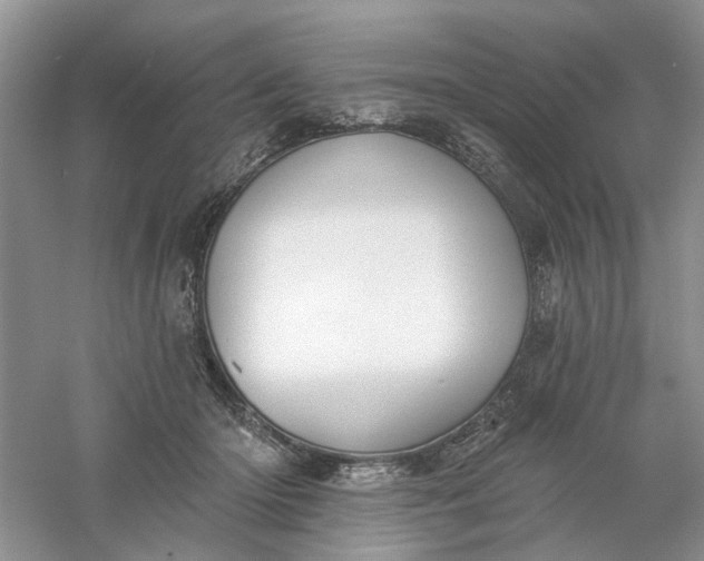 X0000061100414200512022104
