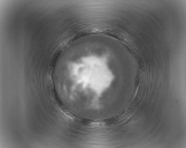 X0000061100415200512022104
