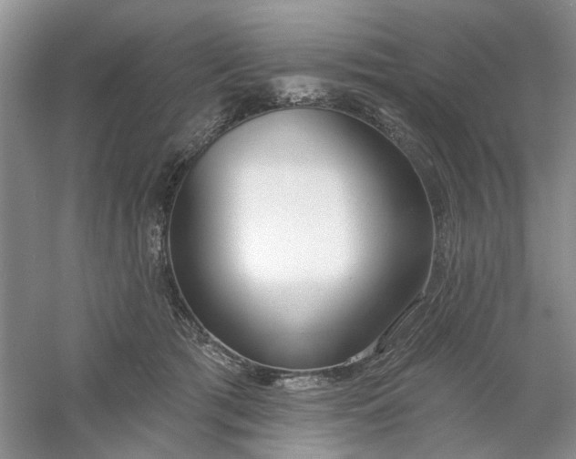 X0000061100417200512022104