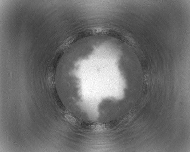 X0000061100419200512022104