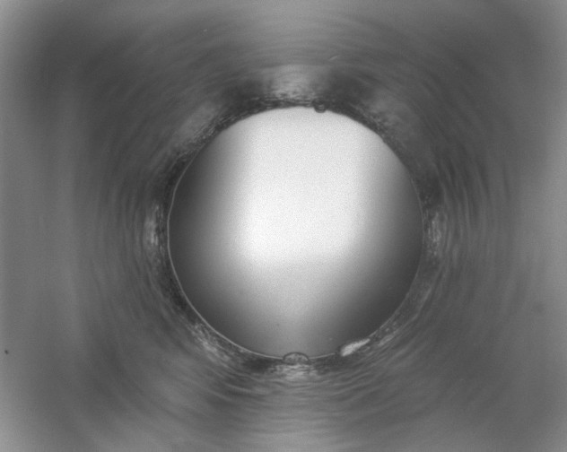 X0000061100424200512022104