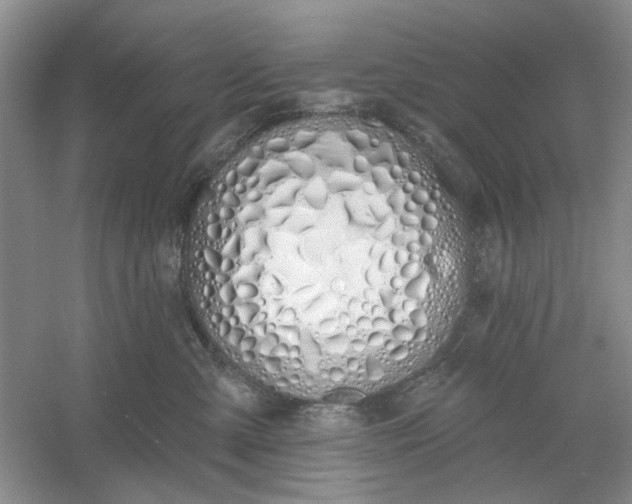 X0000061100427200512022104