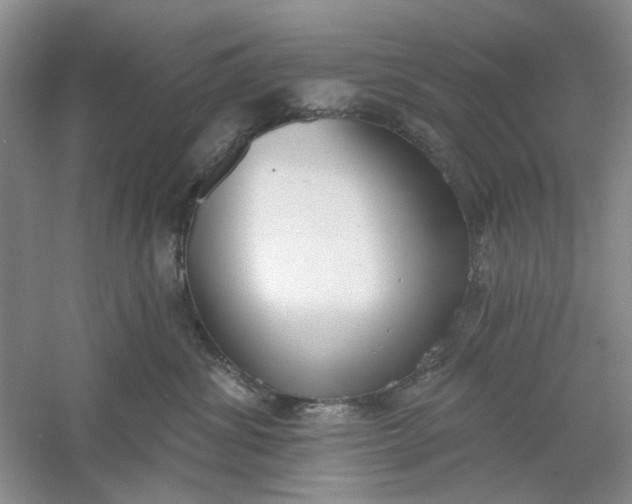 X0000061100428200512022104