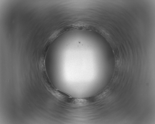 X0000061100429200512022104