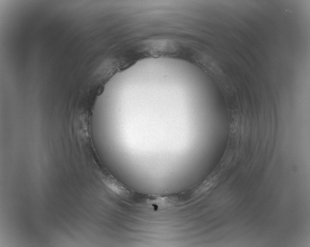 X0000061100430200512022104