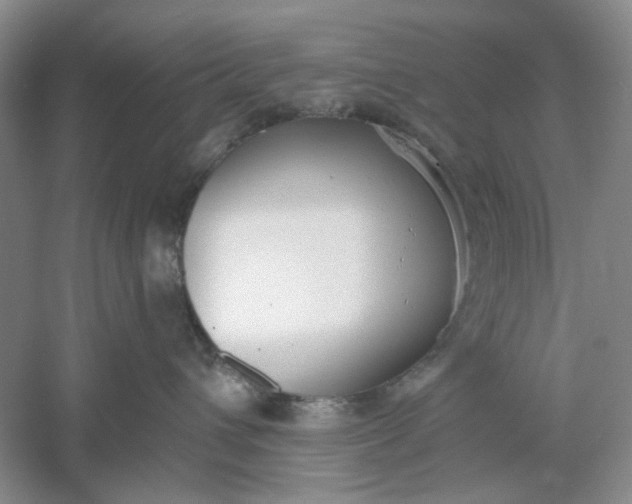 X0000061100432200512022104