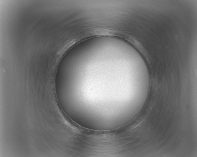 X0000061100433200512022103