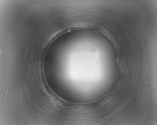 X0000061100434200512022103