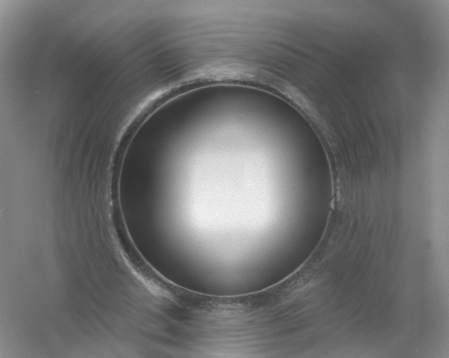 X0000061100438200512022103