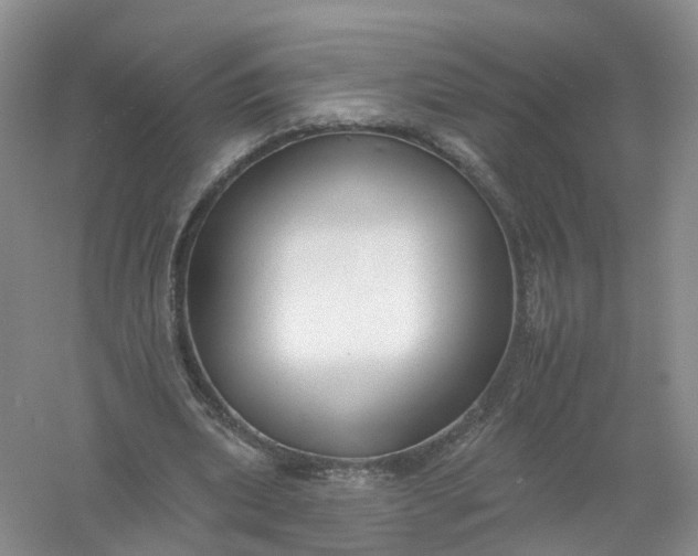 X0000061100439200512022103