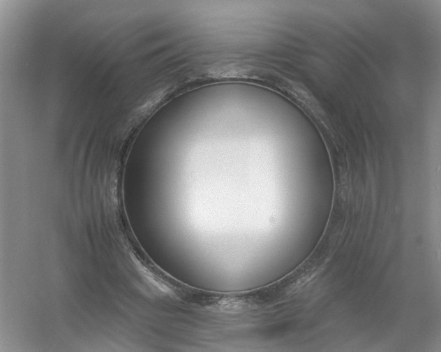 X0000061100441200512022103