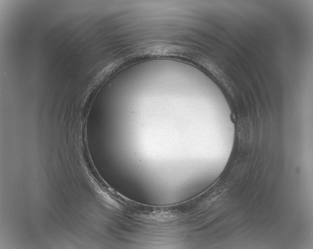 X0000061100445200512022103