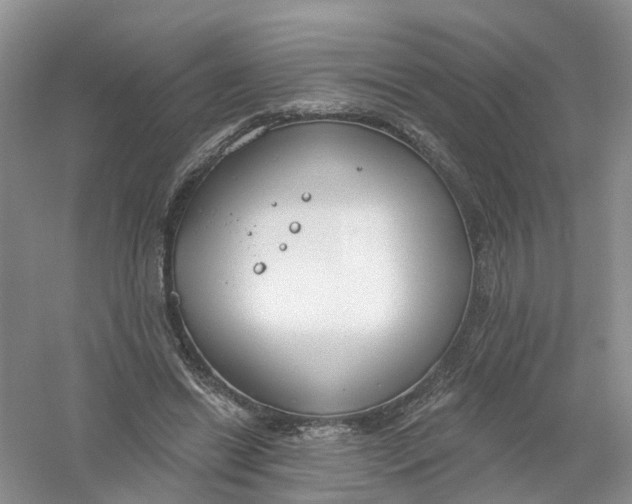 X0000061100446200512022103
