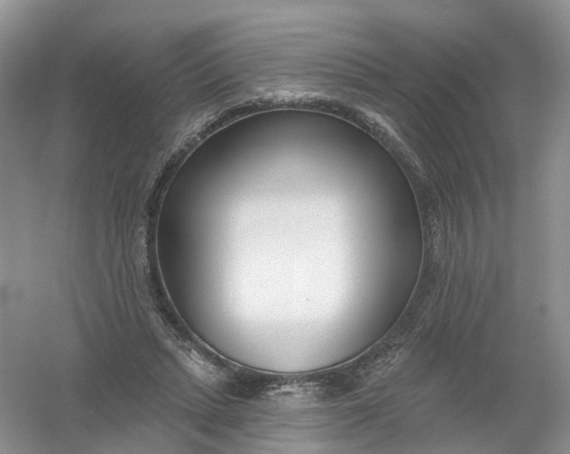 X0000061100447200512022103
