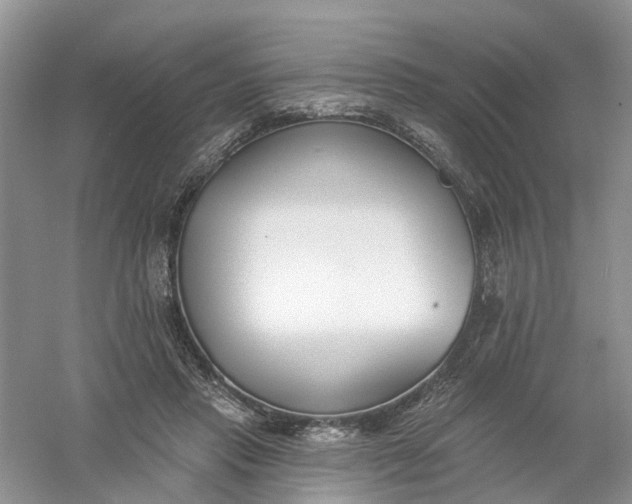 X0000061100453200512022103