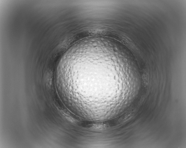 X0000061100458200512022103