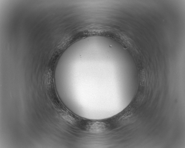 X0000061100463200512022103