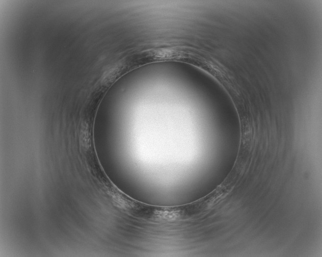 X0000061100469200512022103