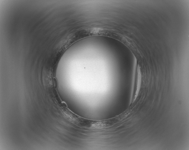 X0000061100470200512022103