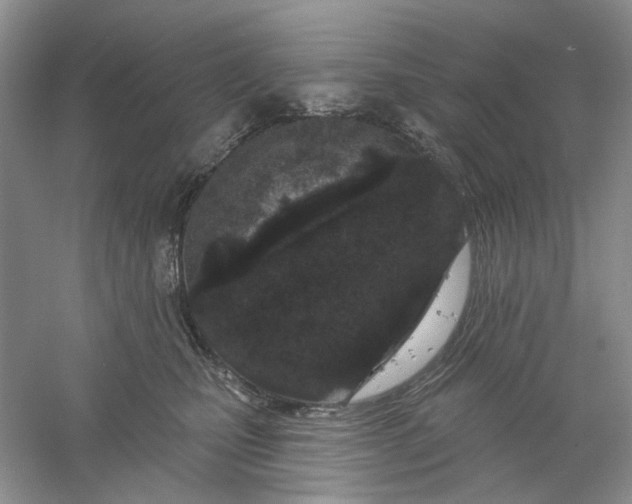 X0000061100471200512022103