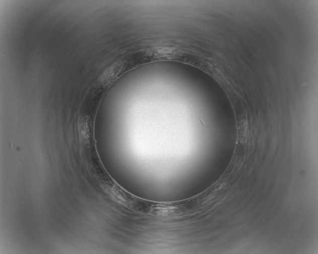 X0000061100472200512022103