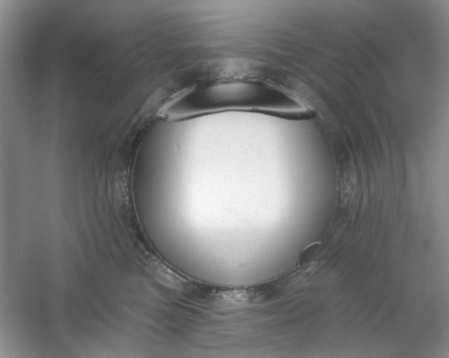 X0000061100473200512022103