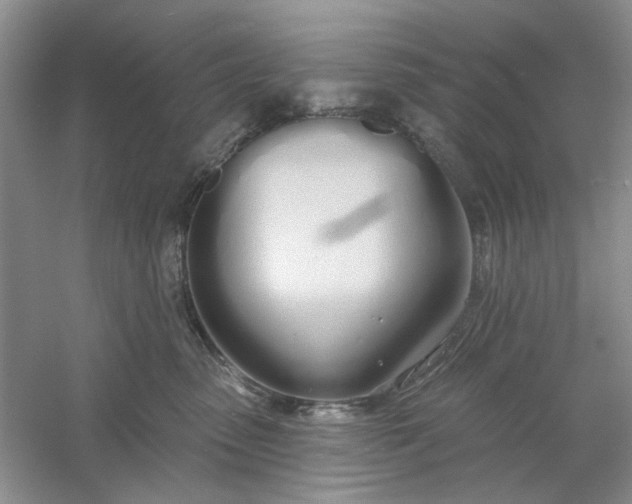 X0000061100475200512022103