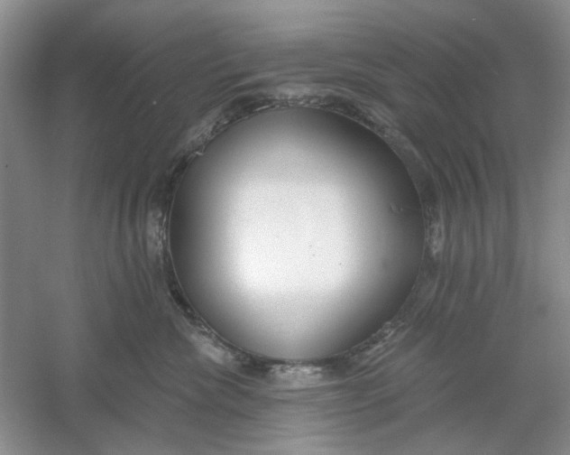 X0000061100476200512022103