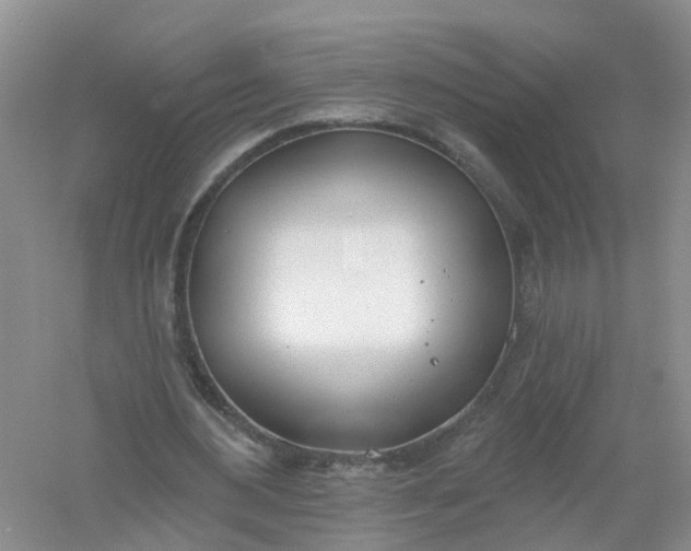 X0000061100484200512022103