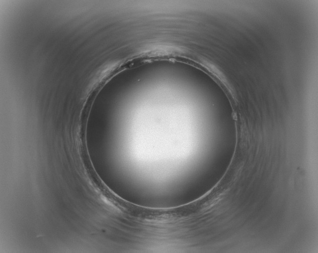 X0000061100485200512022103