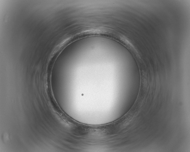 X0000061100486200512022103