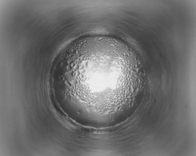 X0000061100487200512022103
