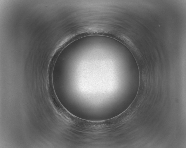 X0000061100488200512022103