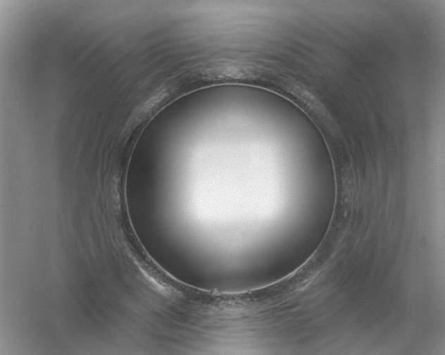 X0000061100489200512022103
