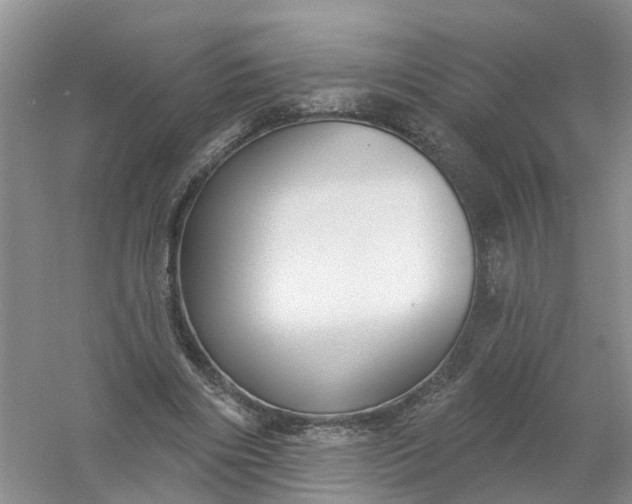 X0000061100490200512022103