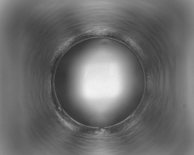X0000061100493200512022102