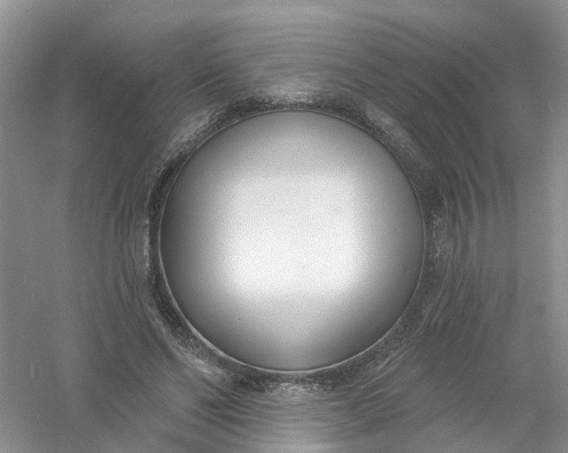 X0000061100494200512022102