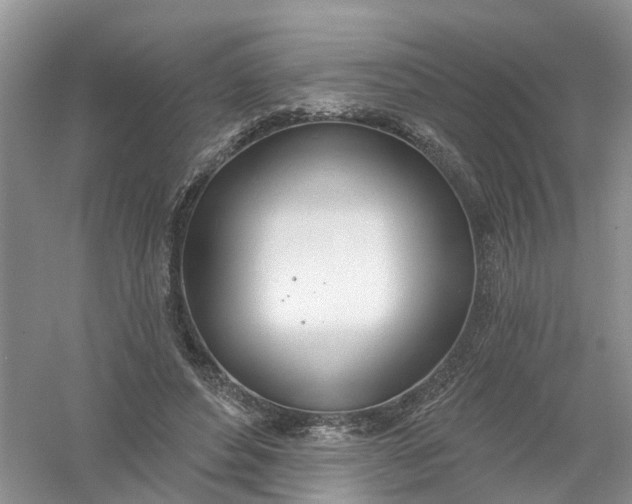 X0000061100496200512022102