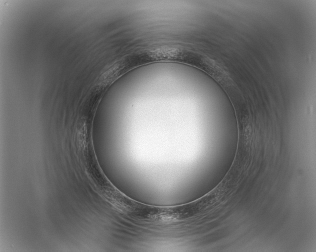 X0000061100498200512022102