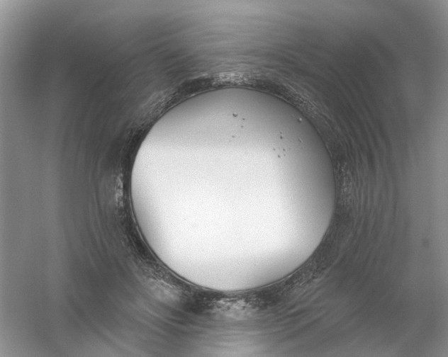 X0000061100502200512022102