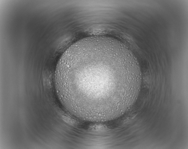 X0000061100503200512022102
