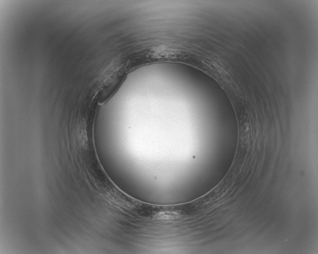 X0000061100508200512022102