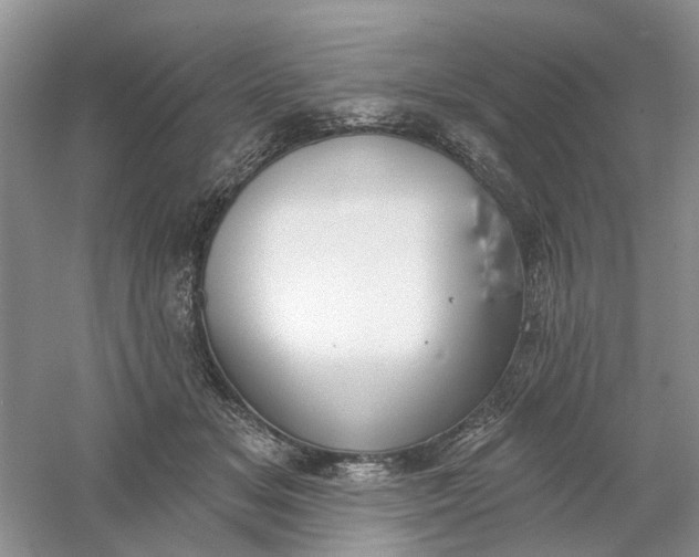 X0000061100509200512022102