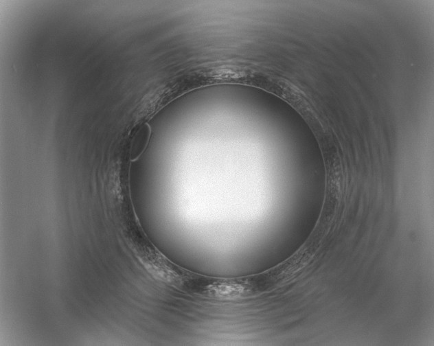 X0000061100512200512022102
