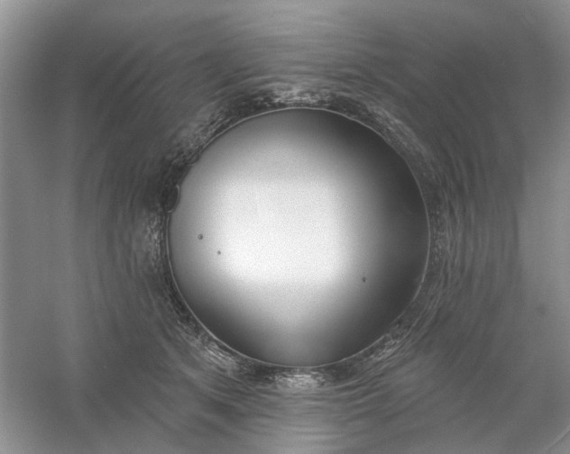 X0000061100513200512022102