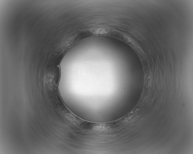 X0000061100521200512022102