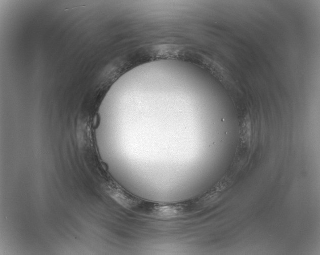 X0000061100522200512022102