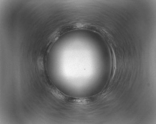 X0000061100524200512022102