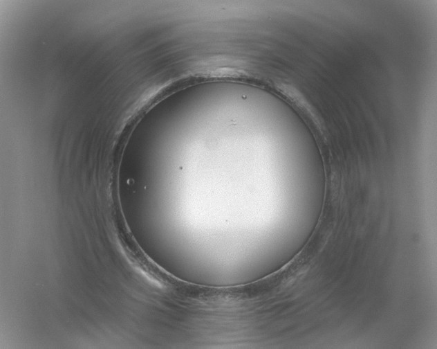 X0000061100533200512022101